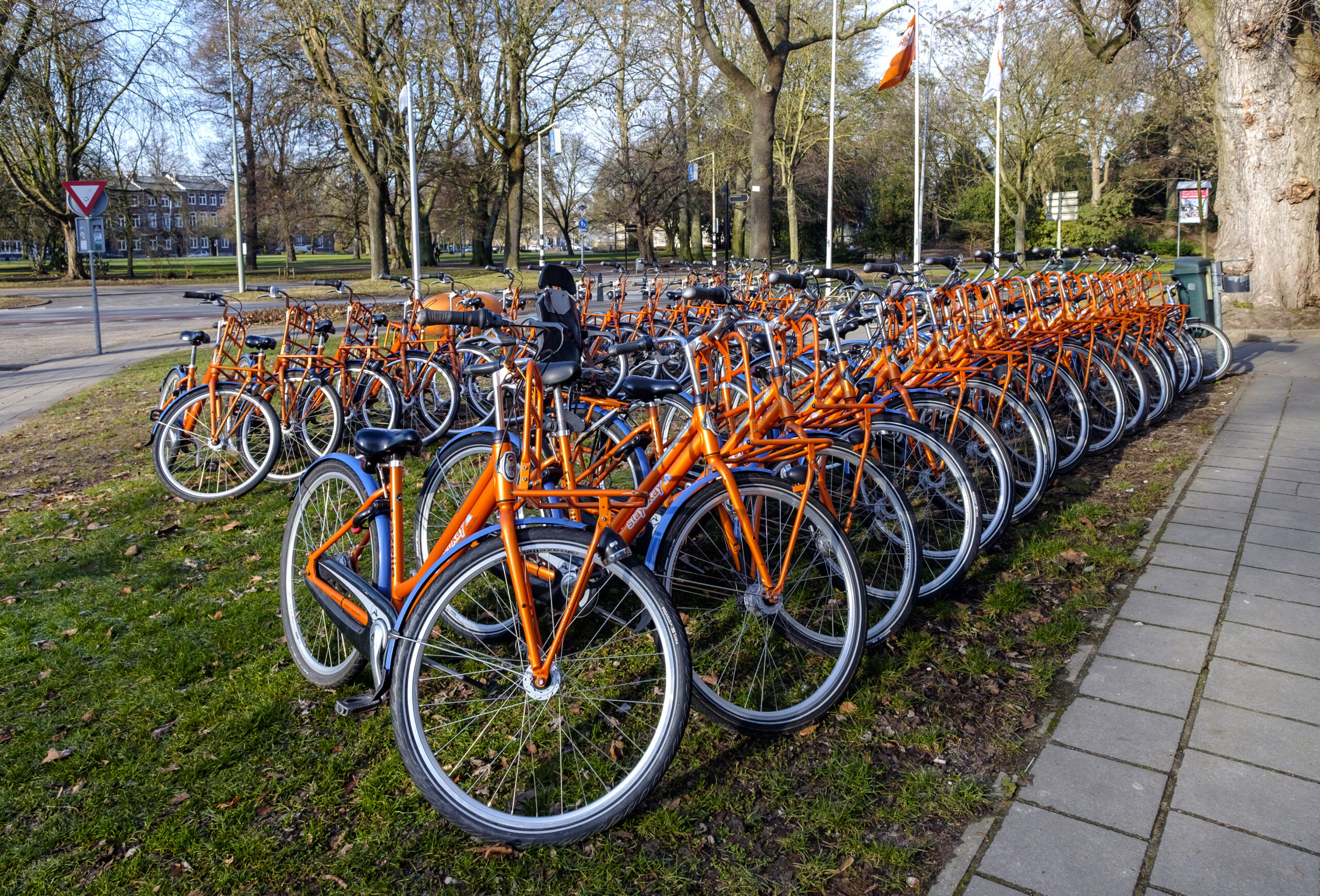 Maastricht, Netherlands, January 2017. Large number of identical orange and blue bicycles, neatly parked on the grass.